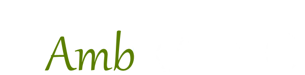 AmbRadio | Taste the Food. Feel the Rhythm. Live the Memory.